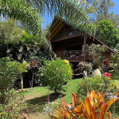 Le Nirvana - Oasis De Tendea - Farino エクステリア 写真